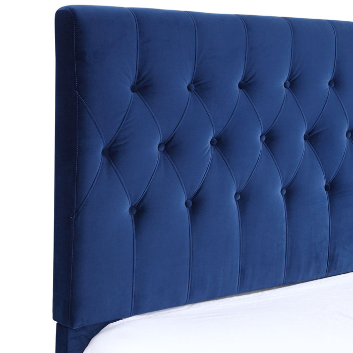 Amelia - Upholstered Queen Bed - Navy