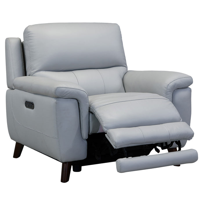Lizette - Contemporary Chair Genuine Leather - Dark Brown / Dove Gray